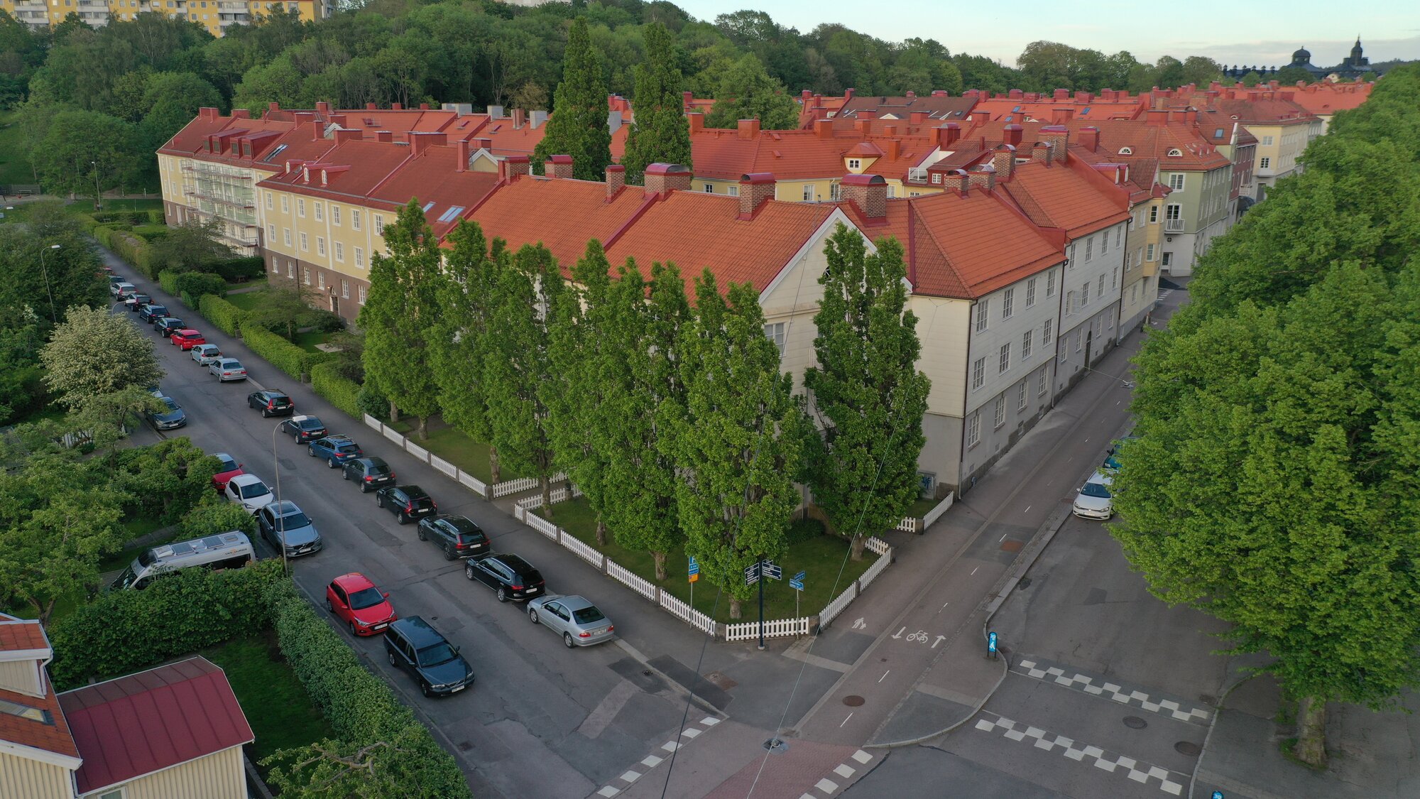 Trädraden längs gatan